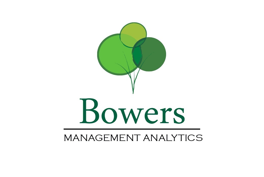 Bowers Management Analytics